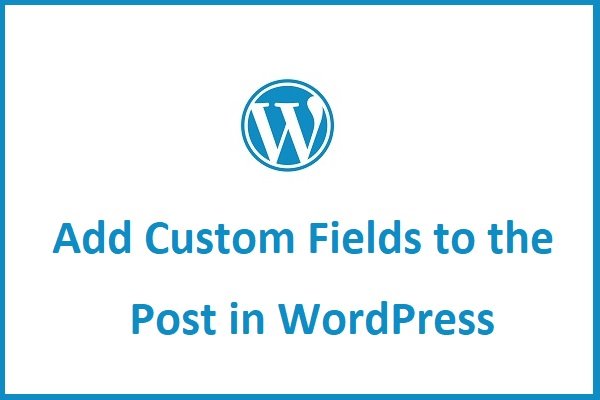 Add Custom Fields to the Post in WordPress